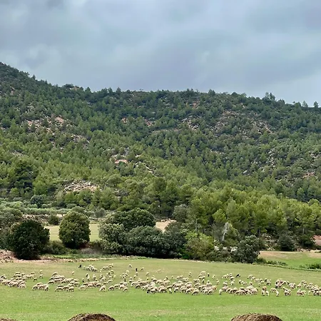 Boix Castellfollit del Boix